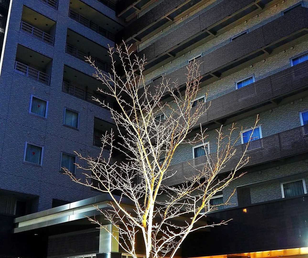 Hotel Noku Osaka